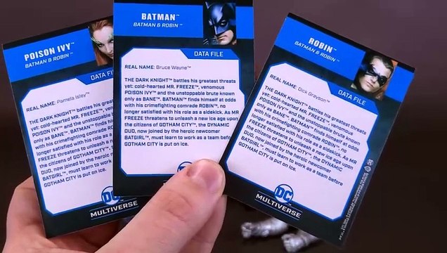 McFarlane Toys DC Multiverse Batman and Robin Robin Figure