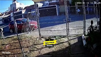 Menor ataca a perro porque le ladró