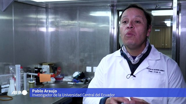 Misión de Colombia analiza huellas del cambio climático en la Antártida