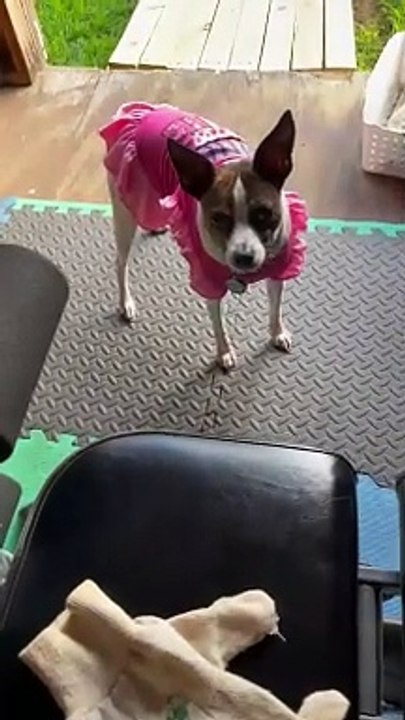 Princess and da glove
