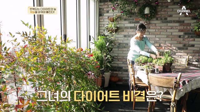 집안일만으로 다이어트 성공♨ 요요 없는 다이어트 비법은?