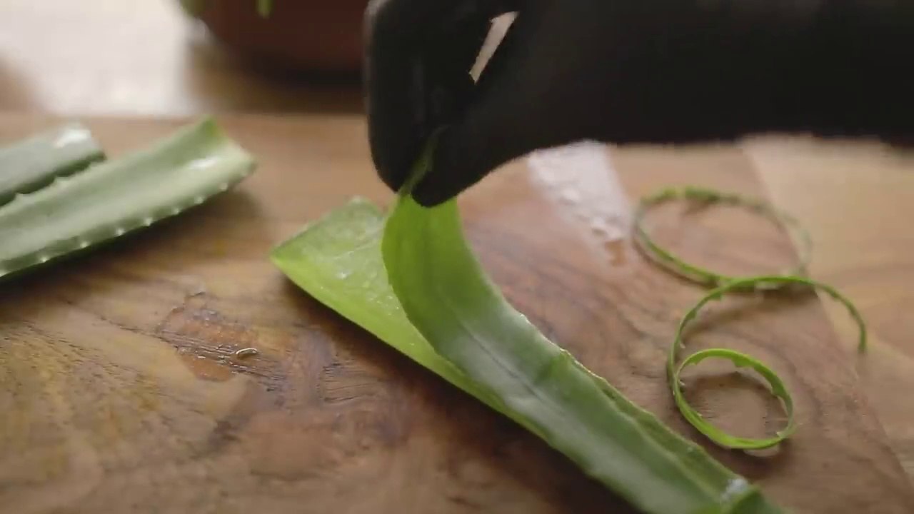 2 ways to make pure organic aloe vera gel at home and preserve for months.