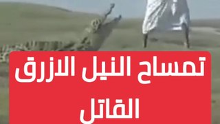 السودانيون يحاصرون تمساح النيل الازرق