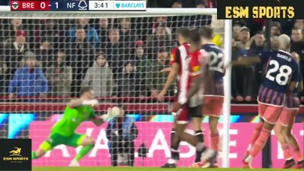 Brentford vs Nottingham Forest 3-2 Highlights & All Goals 2024