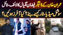 Imran Khan Ke Tiger Faizan Nagyal Ka Lifestyle - Social Media Star Kaise Bane? Kiya Kiya Offers Hovi