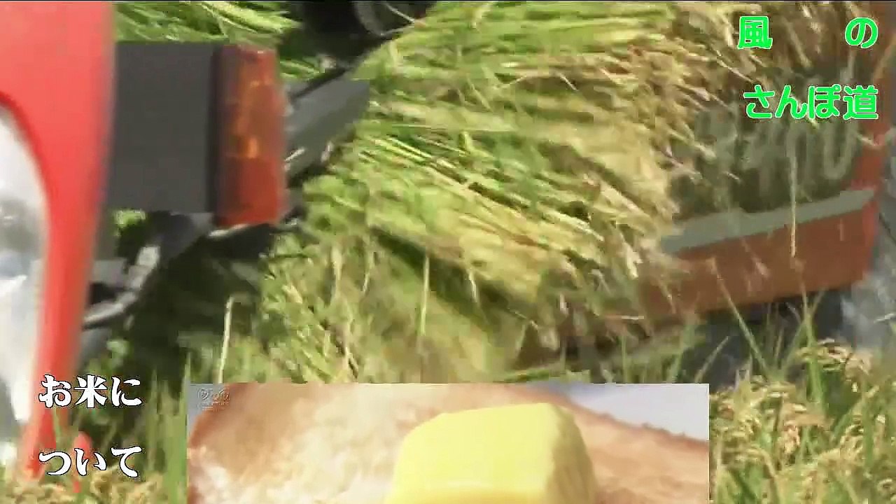 （たおやかインターネット放送)風の散歩道日本人の主食お米のはなしAbout rice, the staple food of the Japanese people