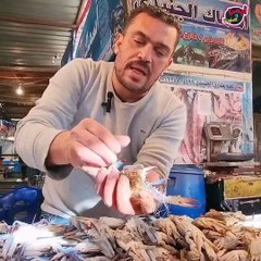 الكابوريا السويسي البلدي