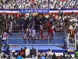 Donald Curry Vs Carlos Santos - boxing - ;ight middleweights