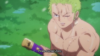 The Tables have Turned | One Piece 1091