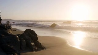 beautiful aerial shot of beach shore 4k Background Video No Copy Right