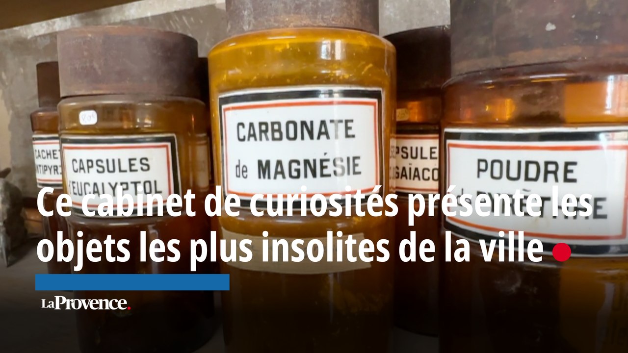 Au Panier, ce cabinet de curiosités abrite les objets les plus insolites de la ville