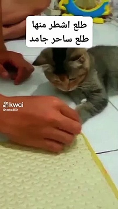 Never alone