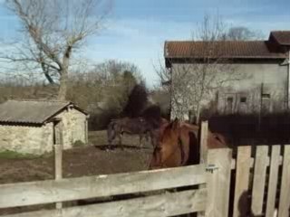 1.4.2008lache-phedre-avec-tous3