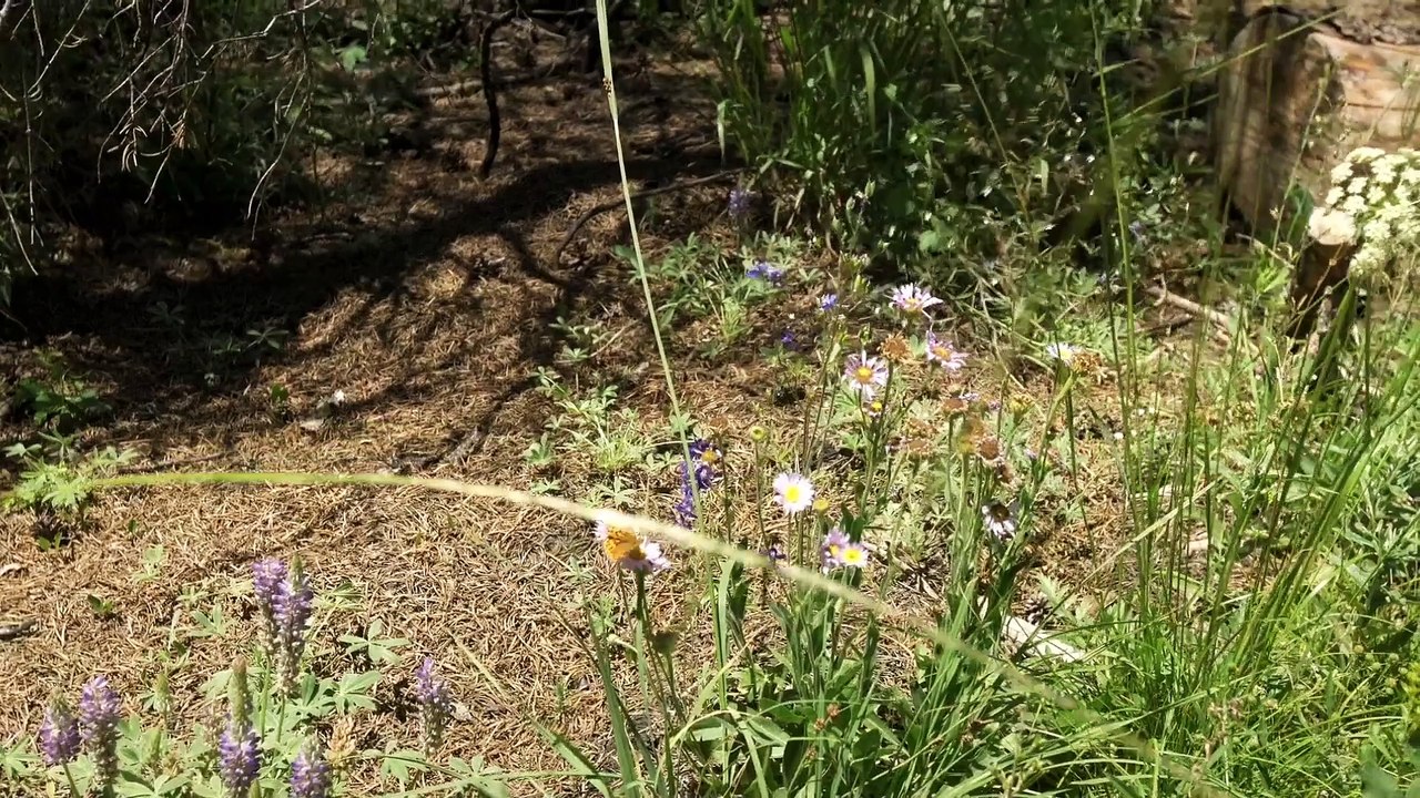 Anchor Point 2021 Movie Watch Online