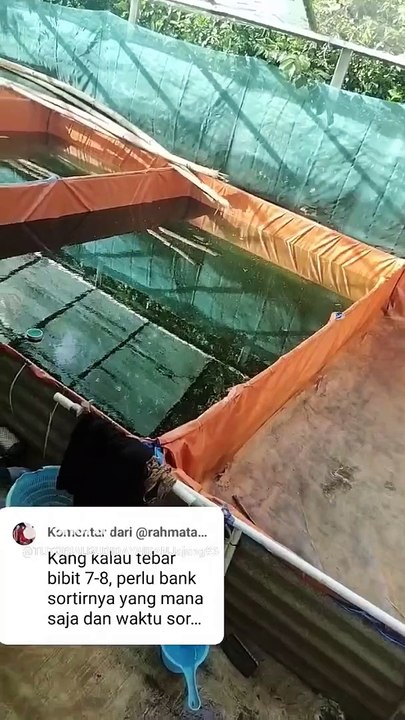Pertanyaan ini yang sering kalian tanyakan❗Tentang SORTIR