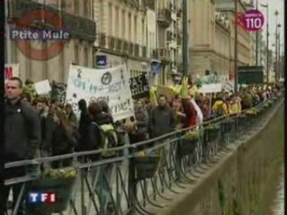 Manifestation anti-OGM