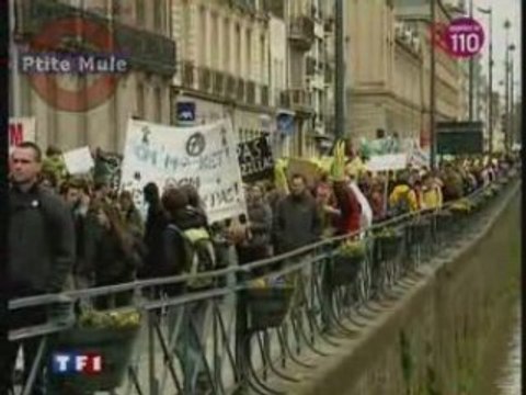 Manifestation anti-OGM