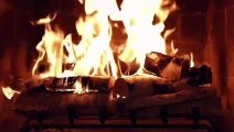 YOUR SPECIFIC PERSON ACCEPTS YOUR DISABILITY-RELAXING FIREPLACE-20,000 TIMES REPEATED