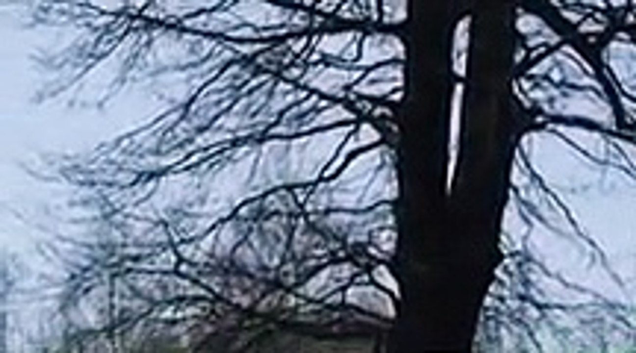 Oderbruch Folge 2 Pulver Staffel 1 Folge 2