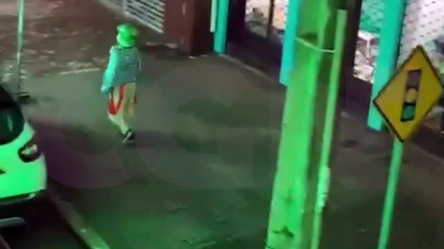 Populares reclamam de personagem Chaves que arrancou galhos de árvores