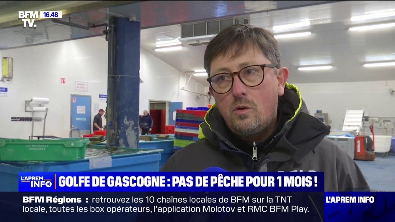 Golfe de Gascogne: la pêche interdite pendant quatre semaines pour réduire les captures accidentelles de dauphins