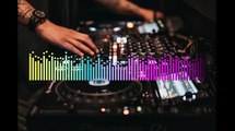 Aylin Demir - Delalım (Diyarbekir Yoluna) DJ  ÖNER Mix