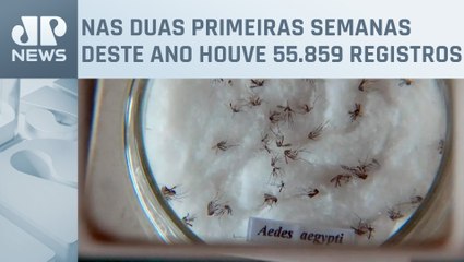 Número de casos de dengue dobram em 2024
