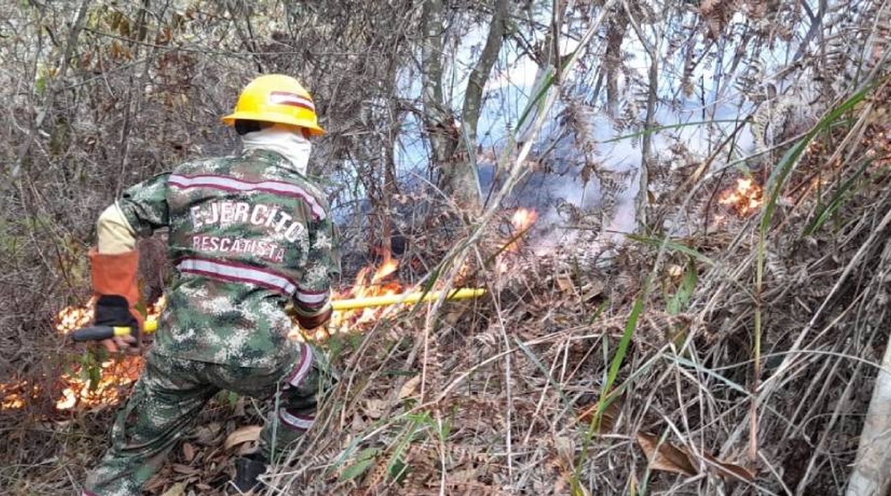 Devastador incendio forestal en Piedecuesta, Santander, habría sido provocado