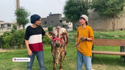 Bakra Badmashi  Short Story  Fatima Or Uski Chalakiyan_1080p