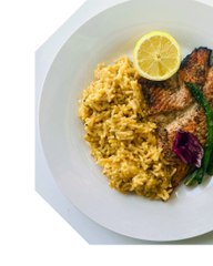 |HABIB ARIEL CORIAT HARRAR | ALIMENTOS NUTRACÉUTICOS Y SU IMPACTO EN LA SALUD (PARTE 2) (@HABIBARIELC)