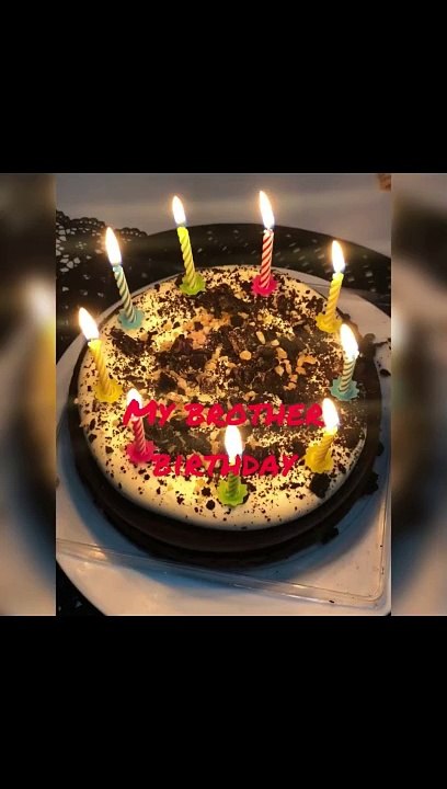 Levi birthday