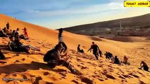 TAGHIT الجزائر السياحة الصحراوية بـ تاغيت