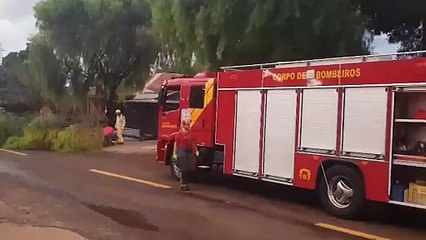 下载视频: Bombeiros realizam poda de árvore no Santa Felicidade