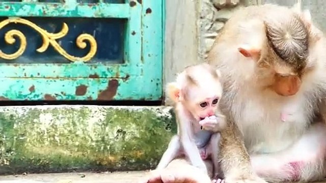 Poor Little Cutie Baby Money Stop Mother Moly To Go Ahead, Money Is Afraid Of Loosing Mother (720p_25fps_H264-192kbit_AAC)