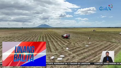 U.S. Dept. of Agriculture: Pilipinas pa rin ang mangungunang rice importer sa 2024 | UB