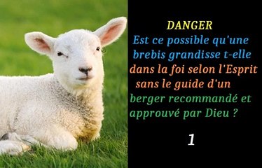 1 DANGER _ Est ce possible qu'une brebis grandisse t-elle dans la foi selon l'Esprit sans le guide