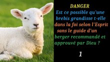 1 DANGER _ Est ce possible qu'une brebis grandisse t-elle dans la foi selon l'Esprit sans le guide