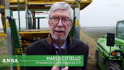 Alluvione, da Coop 2,1 milioni per aiutare aziende e comunita'