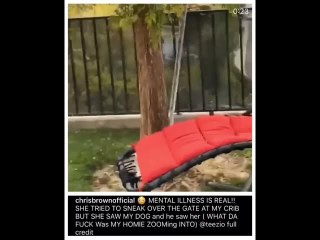 Woman Tries To Break Into Chris Brown’s House