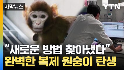 [자막뉴스] "새로운 방법 썼다"...완벽한 '복제 원숭이' 탄생 / YTN