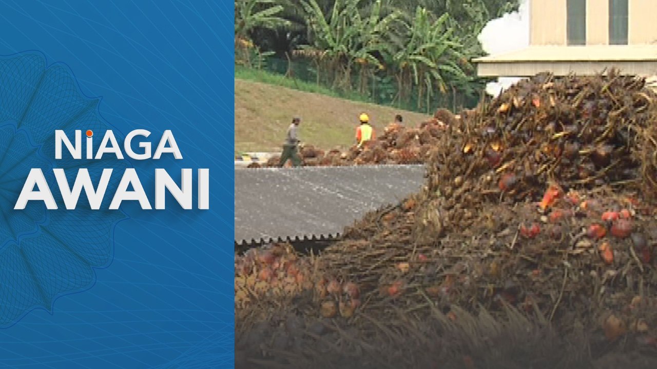Niaga AWANI: Perladangan Sawit: Kemasukan pekerja asing dijangka jana pendapatan RM4 bilion