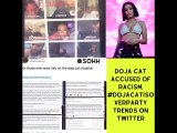 Doja Cat Accused Of Racism On Zoom Call