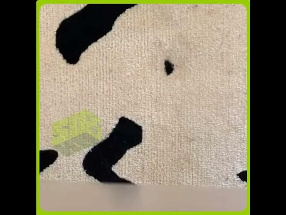 Drake Demonstrates How To Get A Spliff Stain Out Of A Carpet