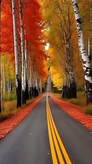 Beautiful scenery 9 مناظر جميله