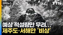 [자막뉴스] '대설주의보' 제주도·서해안, 예상 적설량만 무려... / YTN