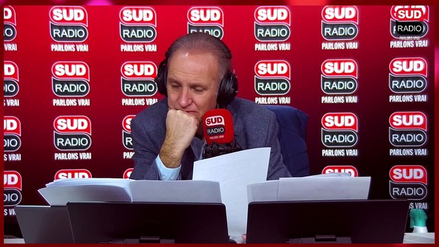 Pourquoi le berger australien est le chien préféré des Français pour la sixième année consécutive ?