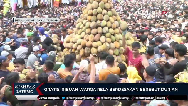 Gratis, Ribuan Warga Pekalongan Rela Berdesakan Berebut Durian