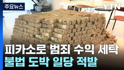 피카소 작품, 40억 승용차 등으로 범죄 수익 세탁 / YTN