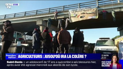 "On est prêts à monter à Paris et paralyser la capitale": des agriculteurs en colère témoignent