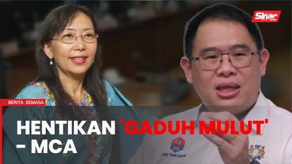 Dakwaan MCA 'parti sesat' hanya gaduh mulut